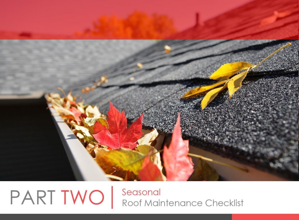 Rogers Roofing blog image