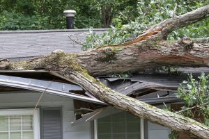 Emergency Storm Damage Repair  